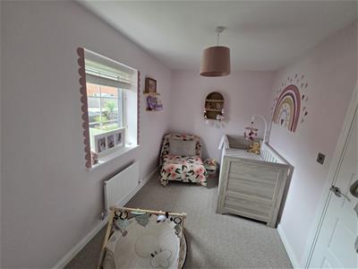 Picture 7